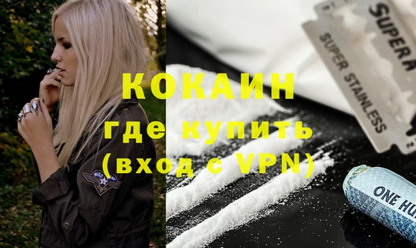 дживик Майский