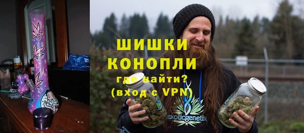PSILOCYBIN Лиски