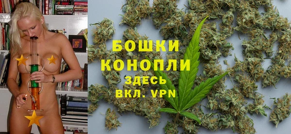 PSILOCYBIN Лиски