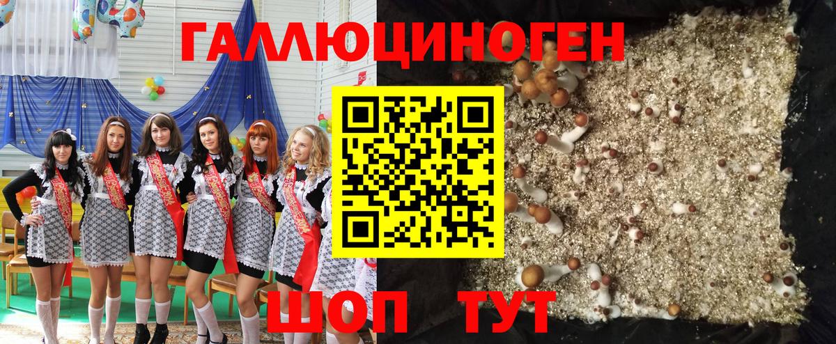 Псилоцибиновые грибы Psilocybe  Набережные Челны 